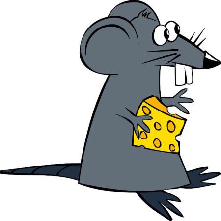 How a clean home keeps the mice away